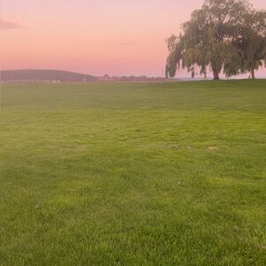 Meet your Posher, Terry